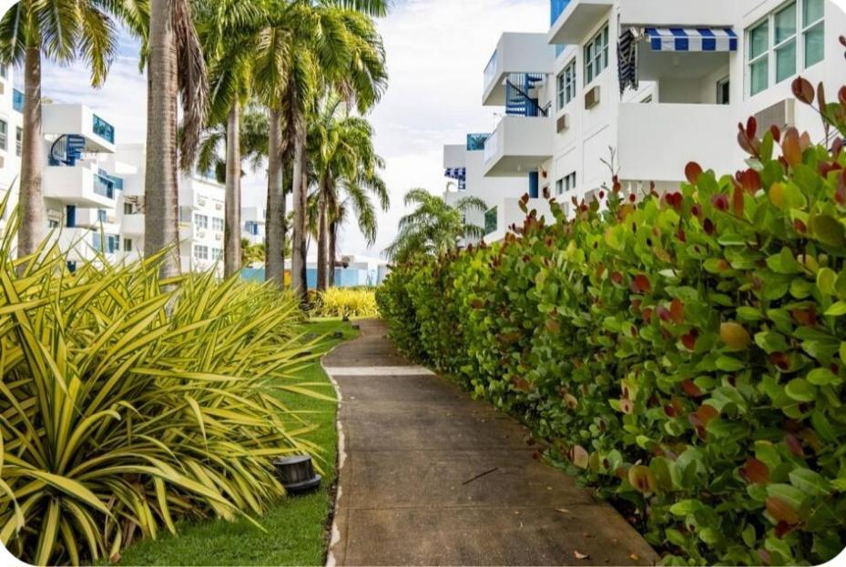 Breezy Nights Puerto Rico Leilighet Loiza Eksteriør bilde